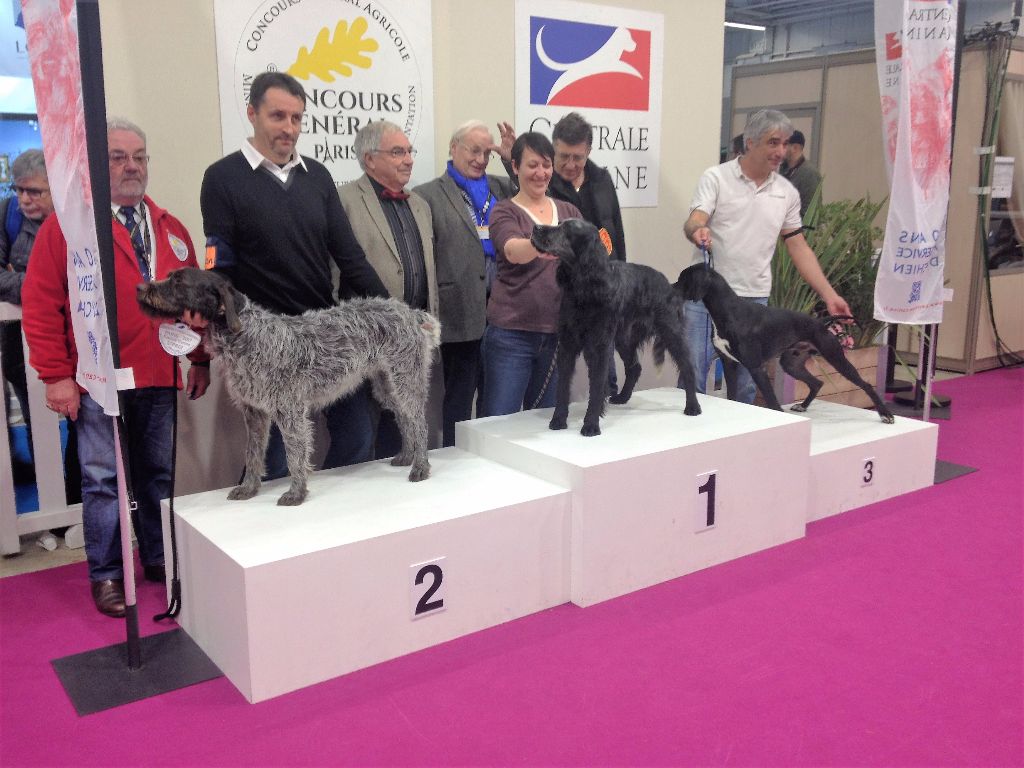 De La Vallée Celtique - Médaille d'argent au Concours Générale Agricole